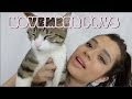 November 2013 Favourites ft. my tired kitty