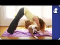 Yoga With Your Dog - Downward Dog &amp; Upward Dog With Your Dog