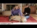 Massaging Your Dog | Teacher&#039;s Pet With Victoria Stilwell