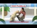 1800PetMeds - Largest Pet Pharmacy - Discount Pet Medications