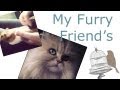 The Furry Friend TAG | TheCameraLiesBeauty