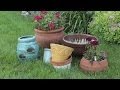 Choosing the Right Pot for Your Container Garden
