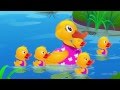 Five Little Ducks Nursery Rhyme With Lyrics - Cartoon Animation Rhymes &amp; Songs for Children