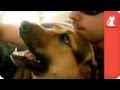 Marine finds comfort in service dog - Healing Power of Pets