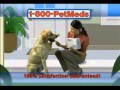 1800 PetMeds - Pet Health Alert - Flea &amp; Ticks Population Explodes