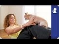 Yoga With Your Dog - Challenging Pose For Your Abdominals