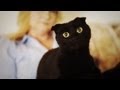 Gracie and Mary | Warm &amp; Fuzzy: My Cat Story