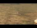 Crocs in Lake Argyle