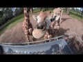 Amazing animal experience at Taronga Western Plains Zoo