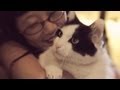 Oreo, Charlotte, Beethoven, and Paula | Warm &amp; Fuzzy: My Cat Story