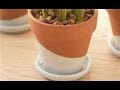 How to Paint Terra-Cotta Pots