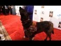 Hero Dog Awards With Victoria Stilwell