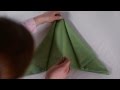 Fold a Napkin into an Airplane