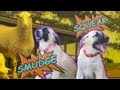 Close Encounters of the Lamb Kind | Smudge &amp; Squeak: Working Puppies Ep. 2