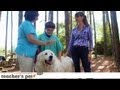 Results of Positive Training | Teacher&#039;s Pet With Victoria Stilwell