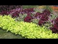 Garden Landscape - How to Design a Garden