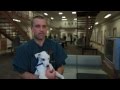 Roger Duncan Extended Interview | The Jail Dogs of Gwinnett County | American Dog