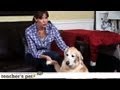 Keep a Dog Calm During Thunderstorms | Teacher&#039;s Pet With Victoria Stilwell