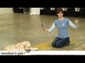 Teach a Dog to &#039;Take It&#039; and &#039;Drop It&#039; | Teacher&#039;s Pet With Victoria Stilwell