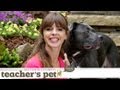Choosing an Effective and Humane Collar | Teacher&#039;s Pet With Victoria Stilwell