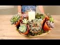 Gorgeous Succulent Centerpiece In 30 Minutes!