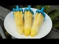 TROPICAL ICE BLOCKS / POPSICLES