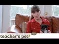 Discipline for Your Dog | Teacher&#039;s Pet With Victoria Stilwell