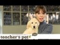 Familiarizing a Puppy to Surfaces &amp; Heights | Teacher&#039;s Pet With Victoria Stilwell