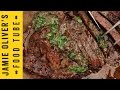 Grilled Steak with Chimichurri Sauce | DJ BBQ &amp; Felicitas