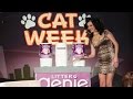 It&#039;s the 5th Annual Cat Week!