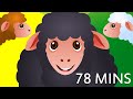 Baa Baa Black Sheep and Many More Kids Songs | Popular Nursery Rhymes Collection by ChuChu TV